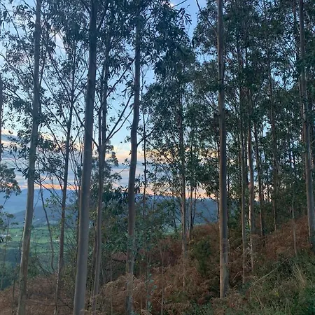 Дом отдыха Dos Casas Juntas 20 Personas Con Finca 3000 M, Barbacoas Parking
