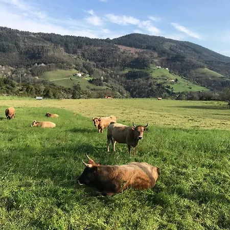 Dos Casas Juntas 20 Personas Con Finca 3000 M, Barbacoas Parking Льянера