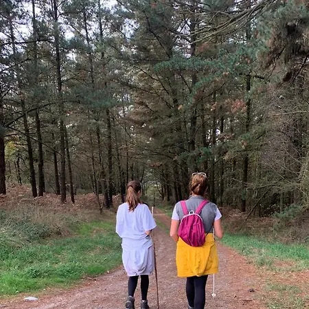 Дом отдыха Dos Casas Juntas 20 Personas Con Finca 3000 M, Barbacoas Parking *